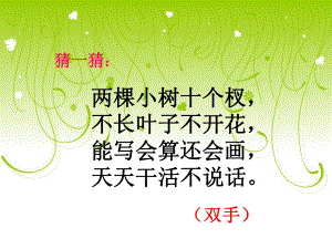 一年级上册语文课件 识字6《画》人教部编版(共25页).ppt