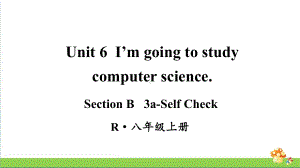 人教版八年级上英语Unit 6第5课时（Section B 3a-Self Check）.ppt