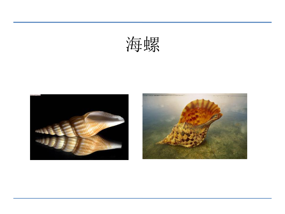 部编版一年级上册语文 11 项链 课件.ppt_第3页