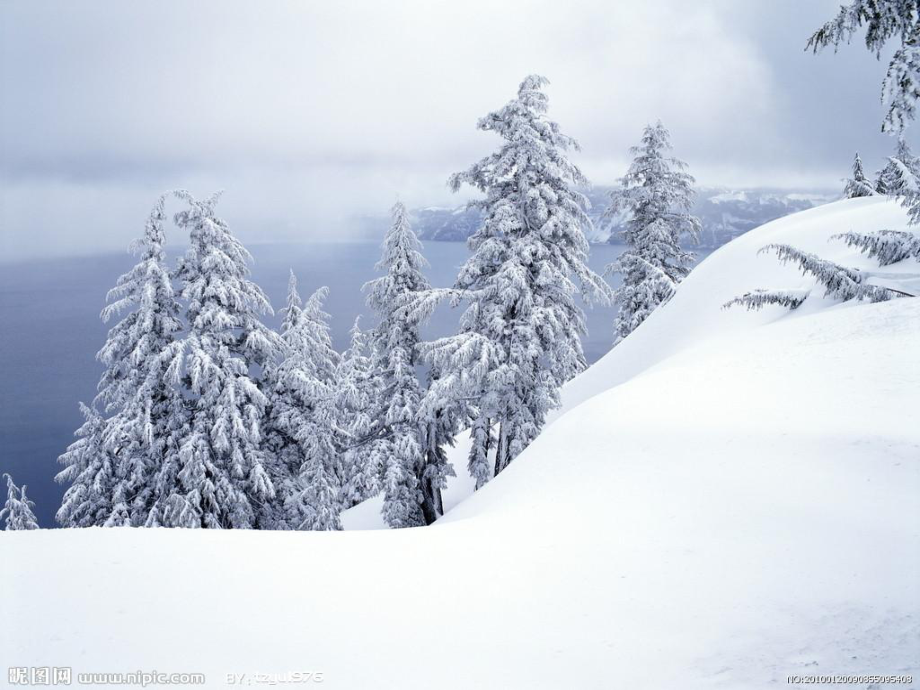 部编版一年级上册语文 12雪地里的小画家 课件.ppt_第3页