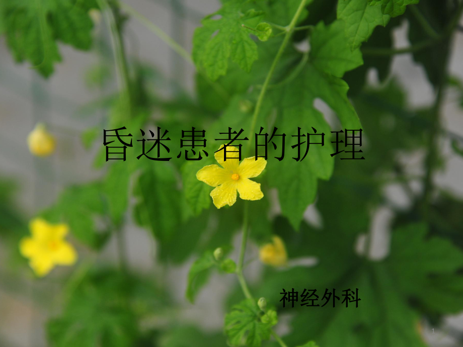 昏迷患者的护理PPT课件.ppt_第1页