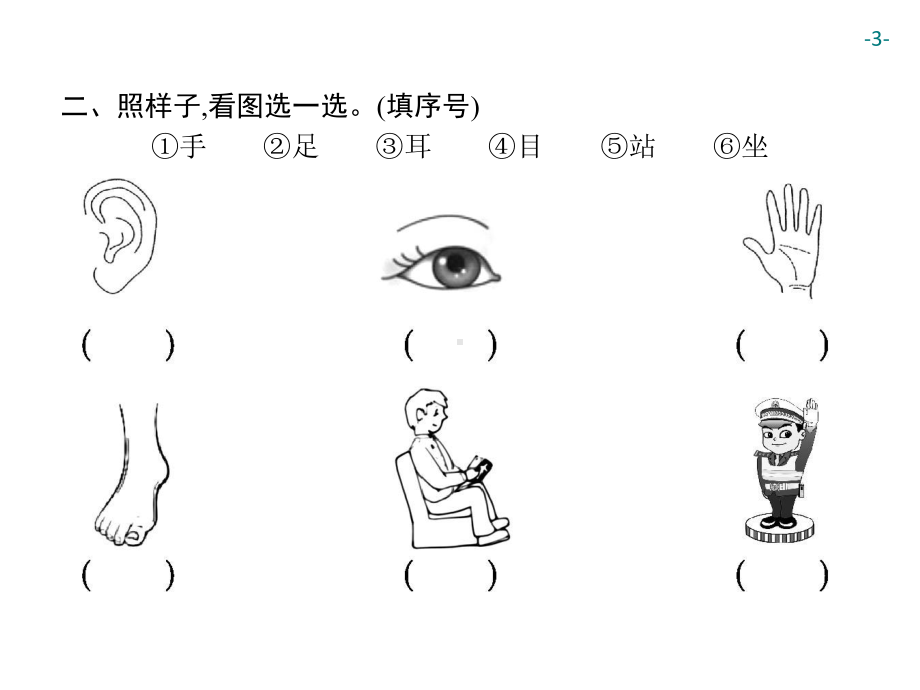 部编版一年级上册语文 3　口耳目 公开课课件.ppt_第3页