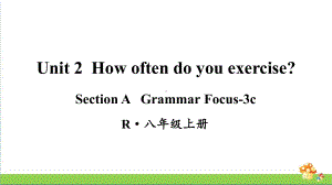 人教版八年级上英语Unit 2 第2课时（Section A Grammar Focus-3c）.ppt