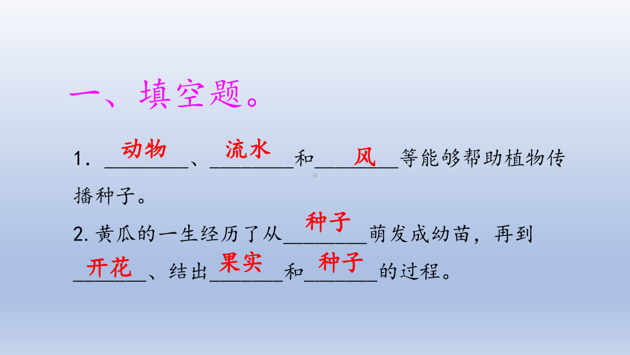 小学科学大象版三年级下册第三单元第5课《硕果累累》作业课件（2022）.pptx_第2页