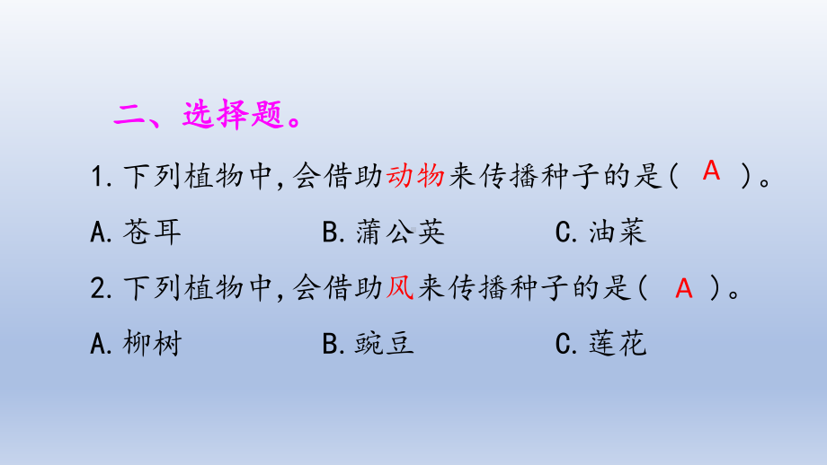 小学科学大象版三年级下册第三单元第5课《硕果累累》作业课件（2022）.pptx_第3页