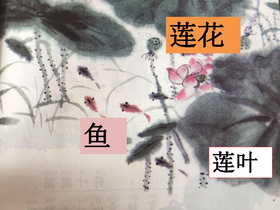 一年级上册语文课件- 3《江南》人教（部编版）(共24页).ppt_第3页