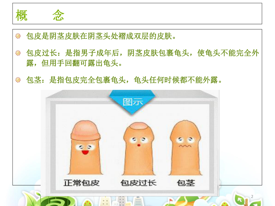 包茎、包皮过长的护理PPT课件.ppt_第2页