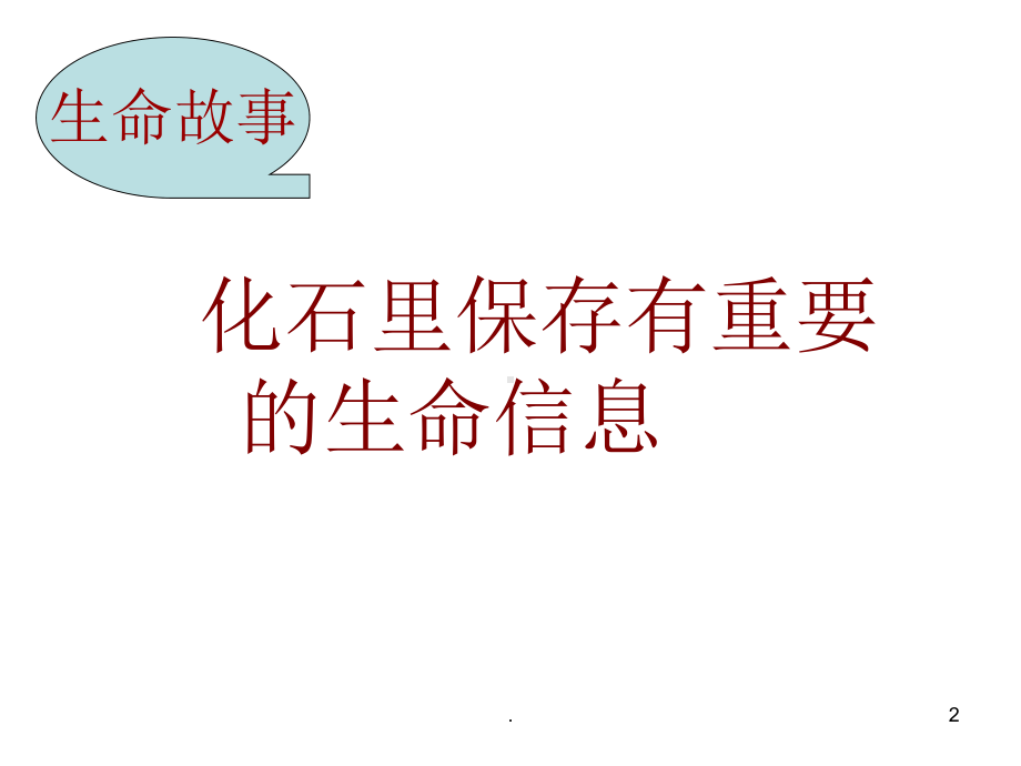 化石的故事PPT课件.ppt_第2页