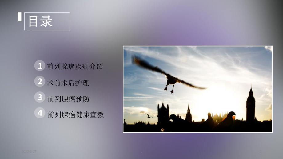 前列腺癌护理精品PPT课件.ppt_第2页