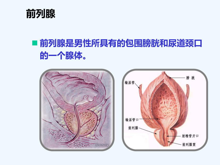 前列腺癌相关肿瘤标志物临床应用课件.ppt_第3页