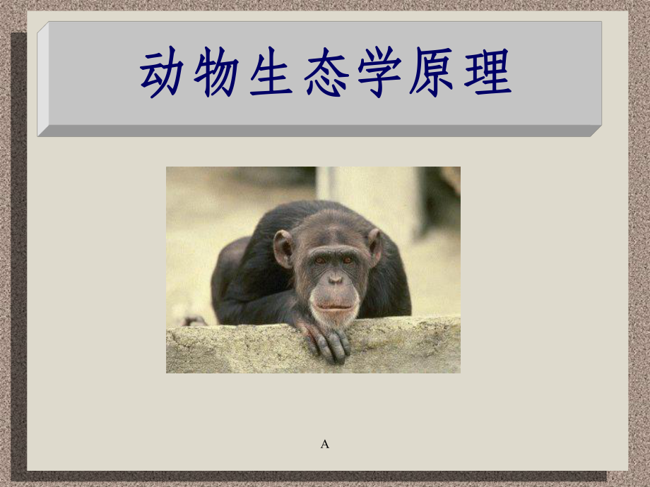 动物生态学原理课件.ppt_第1页