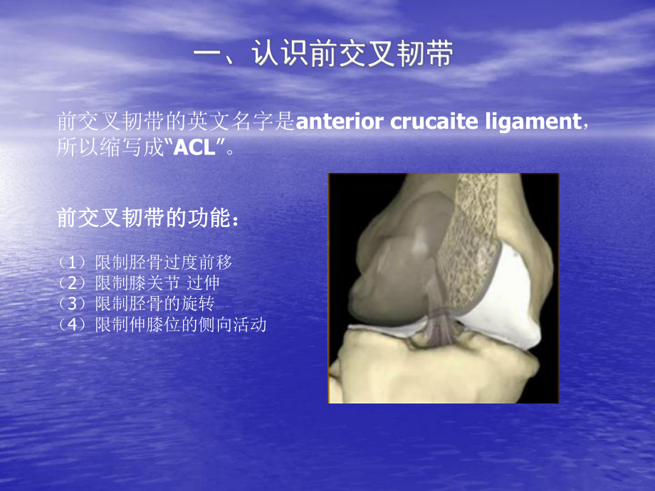 前交叉韧带重建术后康复ppt课件.ppt_第3页