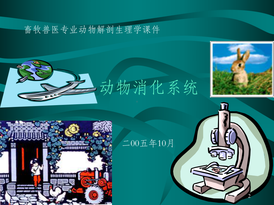 动物消化系统课件.ppt_第2页