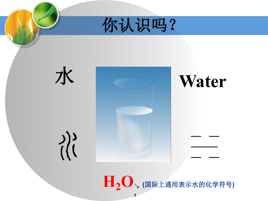 化学式微课PPT课件.ppt_第3页