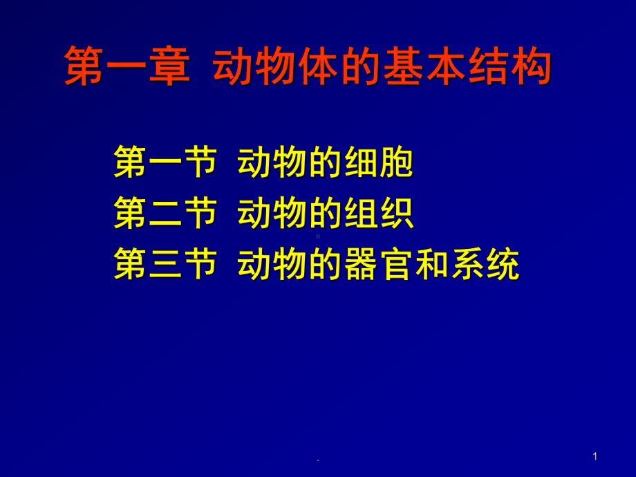 动物体的基本结构PPT课件.ppt_第1页