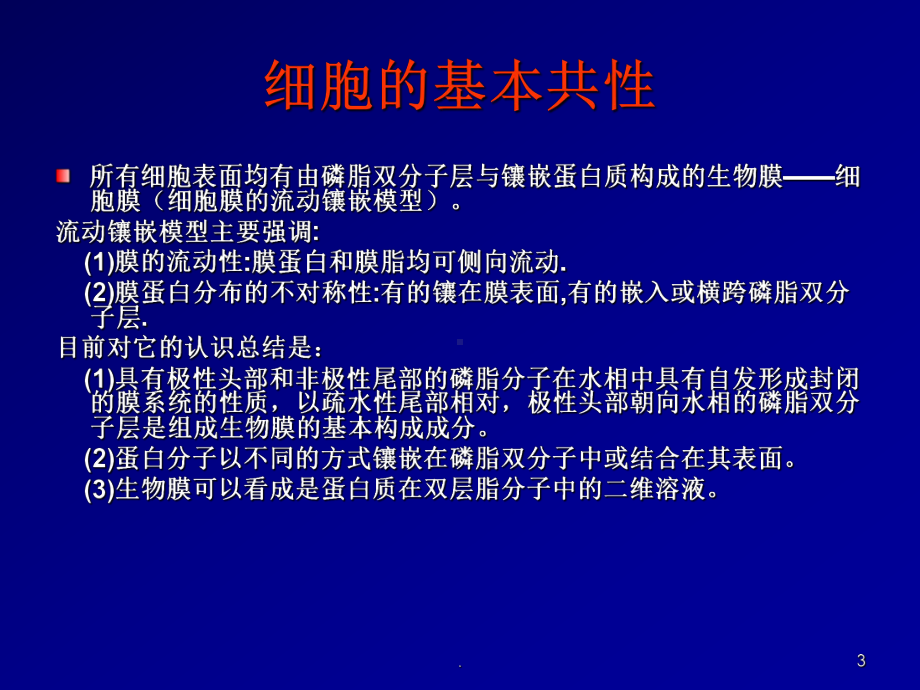 动物体的基本结构PPT课件.ppt_第3页