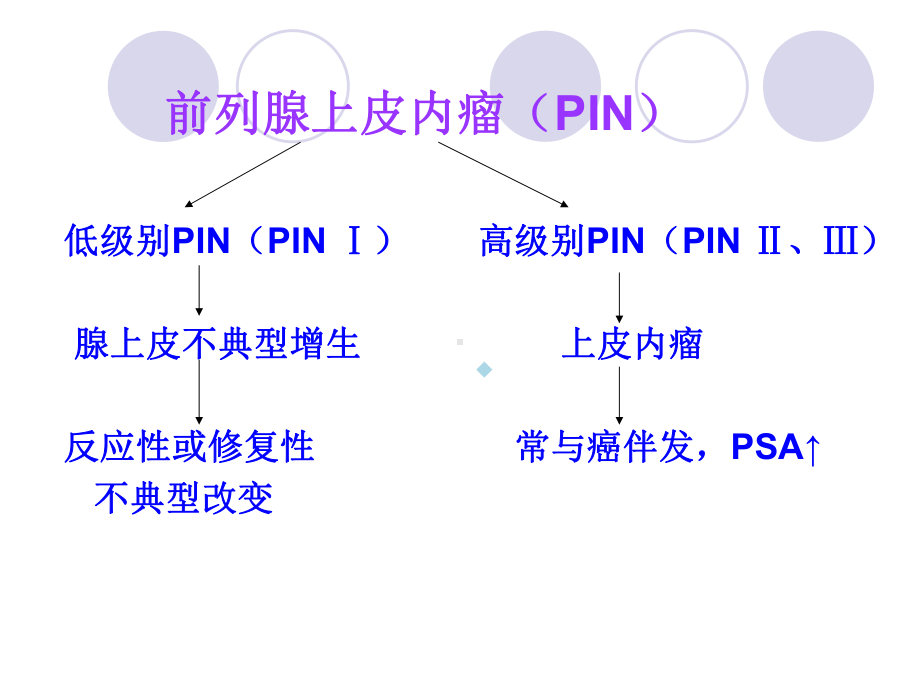 前列腺活检中PIN分级与课件.ppt_第2页