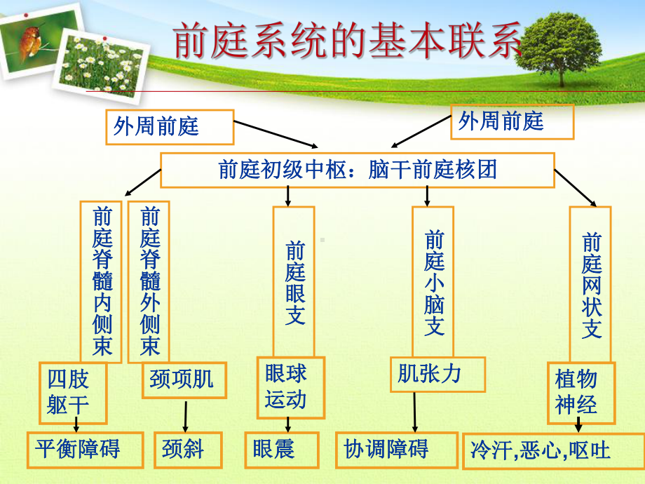 前庭功能检查法课件.pptx_第2页