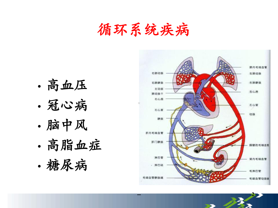 医学知识PPT课件.ppt_第2页