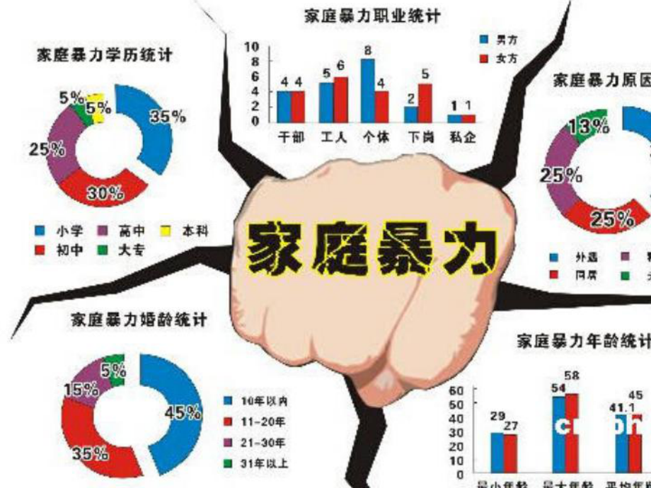 反家庭暴力法讲座PPT课件.ppt_第2页