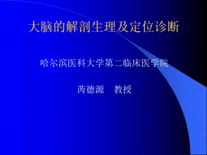 大脑的解剖生理与定位诊断医学课件.ppt