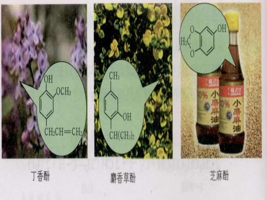 2019新鲁科版高中化学高二选择性必修三第二章第二节醇和酚第2課时酚ppt课件.ppt_第3页