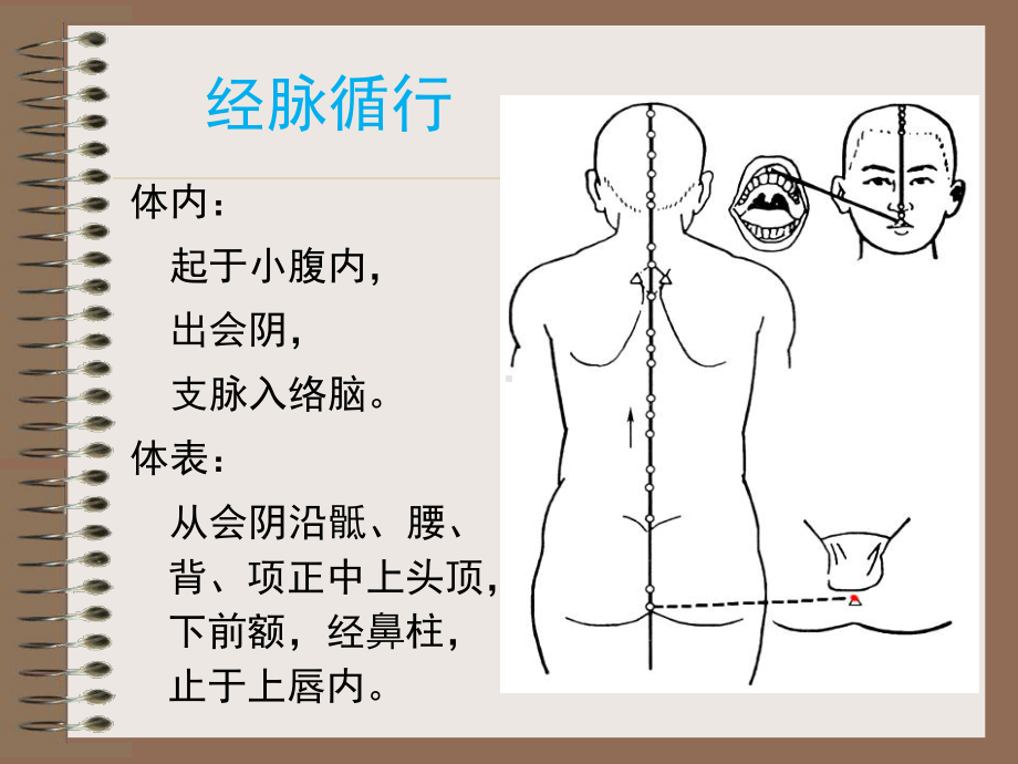 奇经八脉及其相关腧穴课件.pptx_第2页