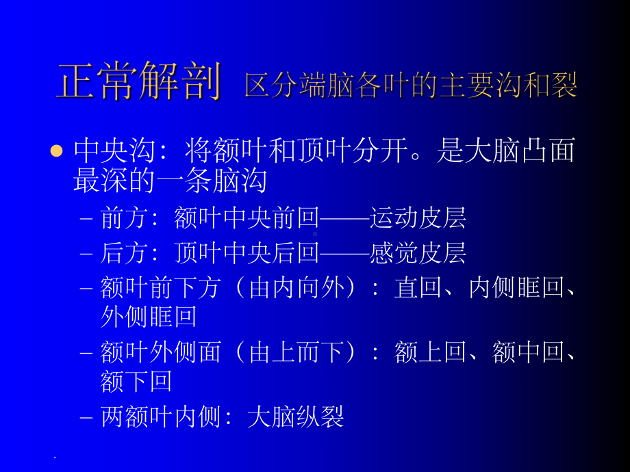 大脑解剖ppt课件.ppt_第3页