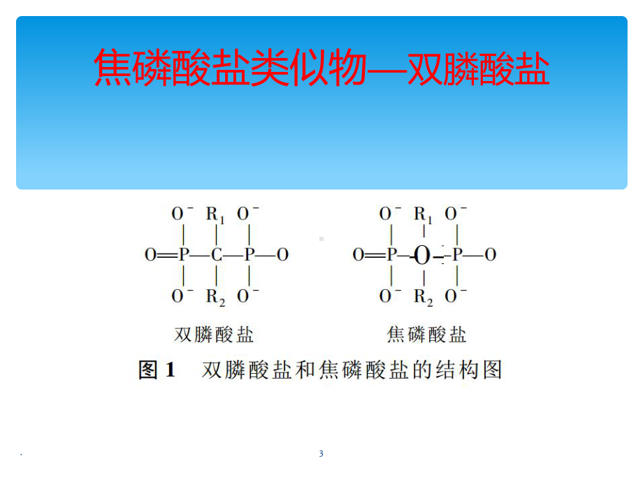 双膦酸盐药物介绍PPT课件.ppt_第3页