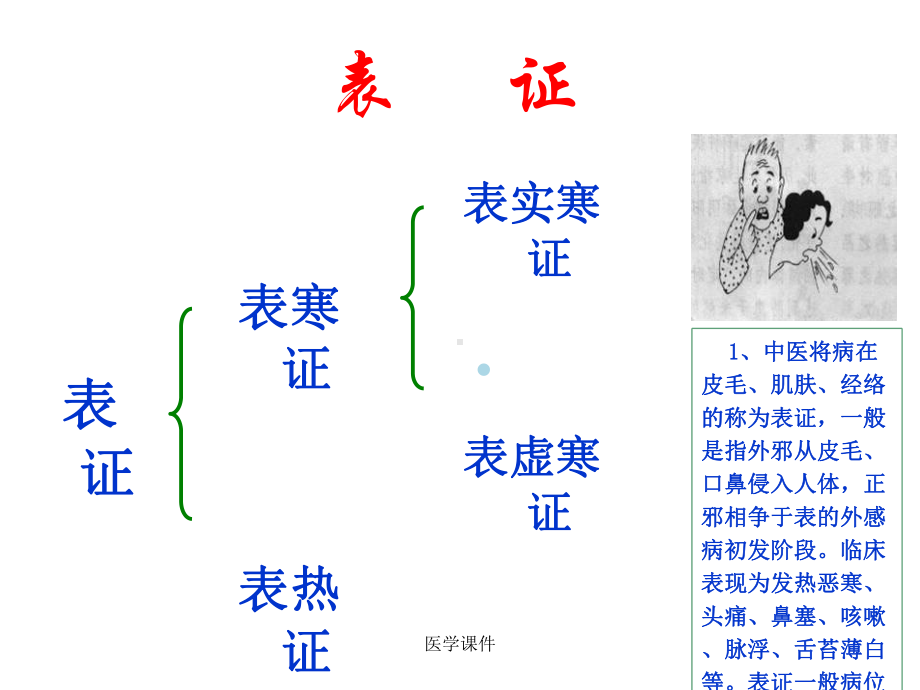 北医中药学解表药PPT课件.ppt_第3页