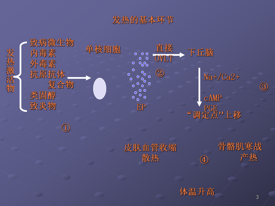 发热待查pptppt课件.ppt_第3页