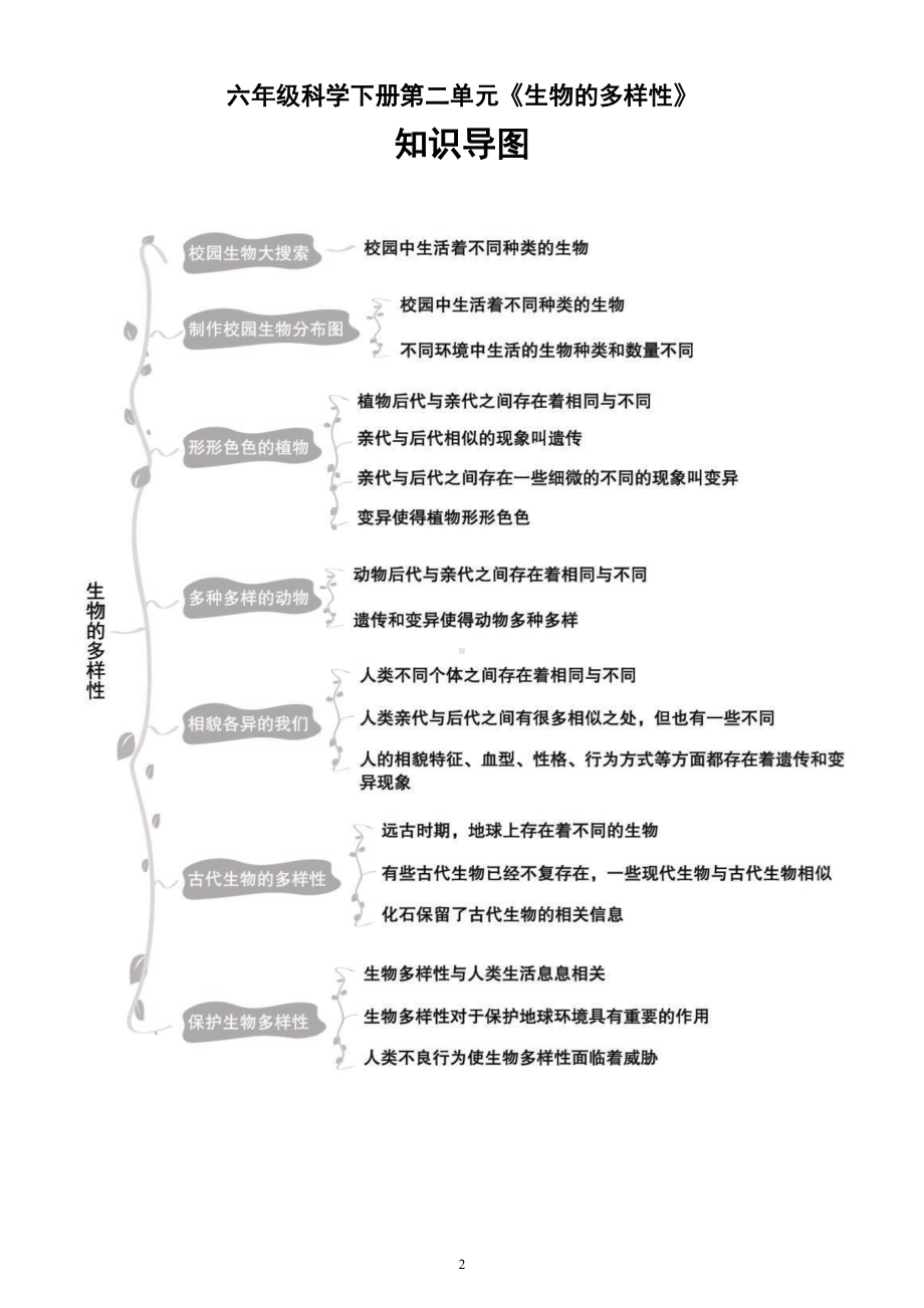 小学科学教科版六年级下册全册各单元知识导图（2022新版）.doc_第2页