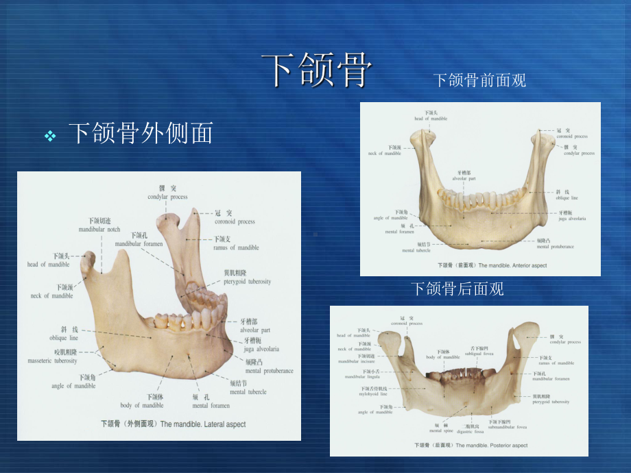 头颅解剖结构及常见病变课件.ppt_第3页