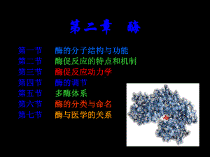 医学生物化学课件-02共152页PPT资料.ppt