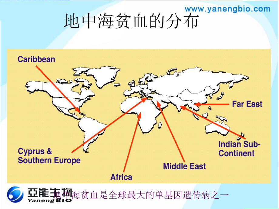 医药-地中海贫血基因检测的临床应用-精品课件.ppt_第3页