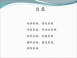 医学基础知识汇总课件.ppt