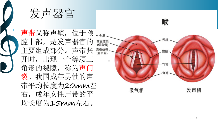 如何保护嗓子PPT课件.pptx_第2页