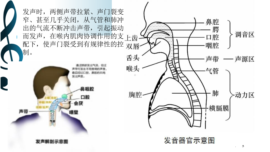 如何保护嗓子PPT课件.pptx_第3页