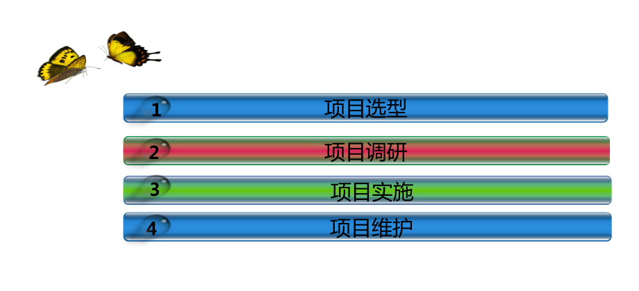 医院信息化项目建设实施心得课件.ppt_第2页