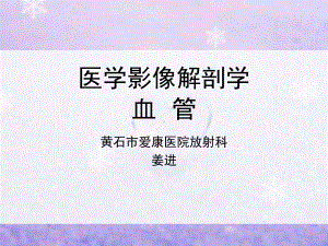 医学影像血管解剖课件.ppt