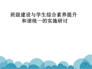 名班主任工作室互动交流讲座：班级建设与学生综合素课件.pptx