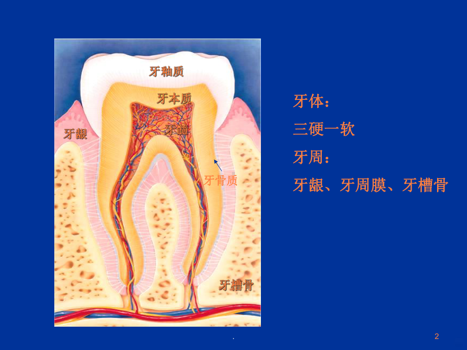 口腔常见病PPT课件.ppt_第2页