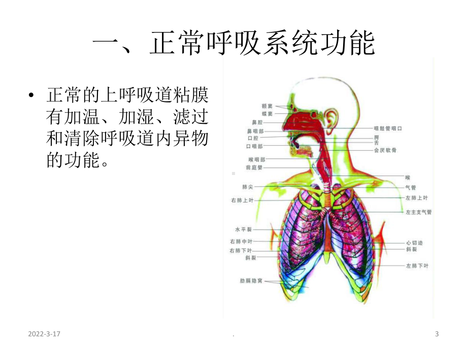 危重患者的气道护理PPT课件.ppt_第3页