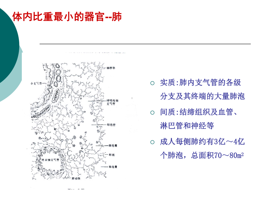 富露施幻灯片改课件.pptx_第1页