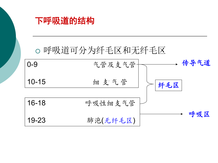 富露施幻灯片改课件.pptx_第3页