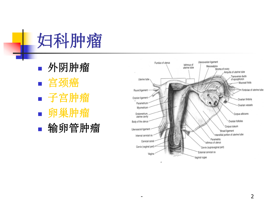 妇科肿瘤学PPT课件.ppt_第2页