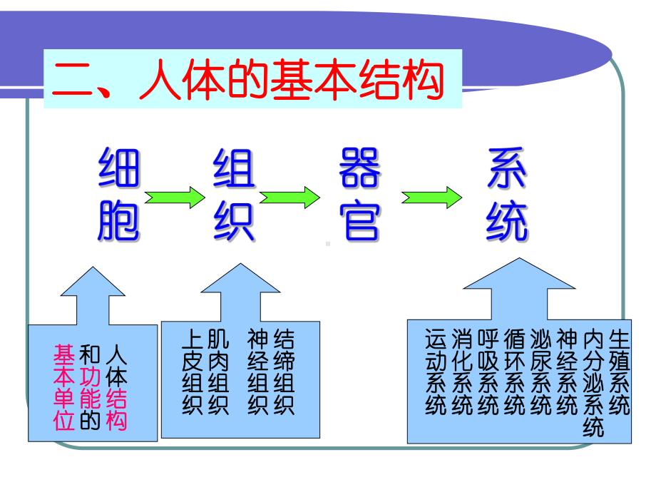 学前儿童解剖生理与卫生保健PPT医学课件.ppt_第2页