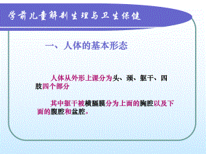 学前儿童解剖生理与卫生保健PPT医学课件.ppt