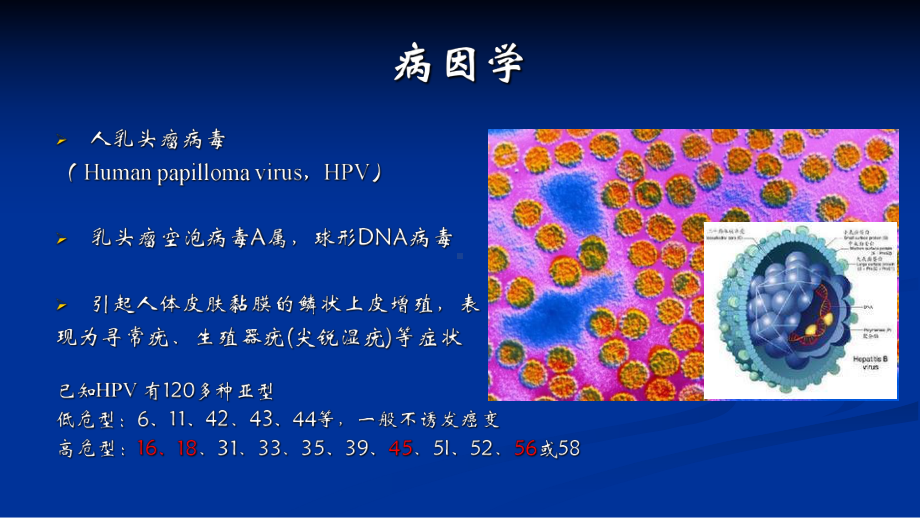 宫颈癌诊疗发展PPT课件.ppt_第3页