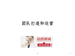 如何运营线上店铺课件.ppt